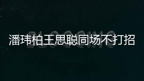 柏王不打班同场招呼者曾王嫂揭天 后潘玮培训思聪