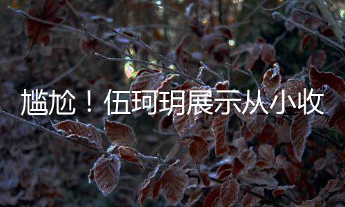 扒全版碟的梅尴尬果被艳芳展示伍 结珂玥从小收藏是盗