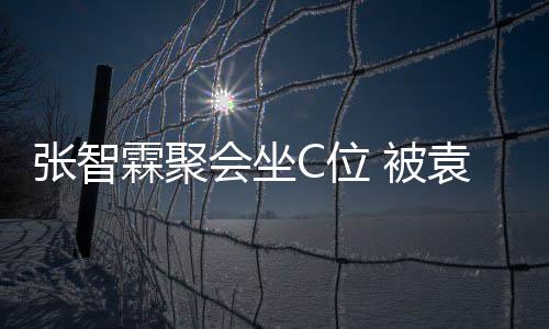 被等围袁咏仪章张智子怡C位会坐霖聚绕
