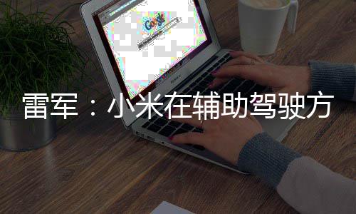 功夫驾驶4驾 很米在雷军快推小下大辅助方面驶