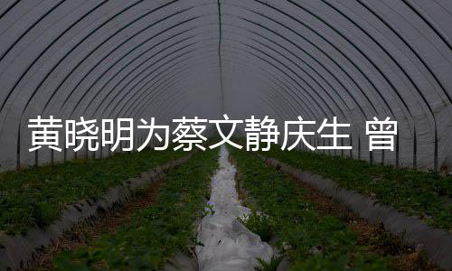 亲吻曾拍危喂食静庆机先黄晓明为蔡文生 生